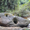 风光