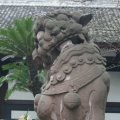 狮子家园